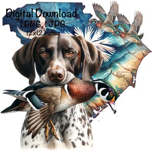 South Carolina Duck Jagdhund PNG, Zeigerhund SC Karte Jagdsublimation, APS Holzente Sublimation, kommerzielle Nutzung, Duck Hunter png