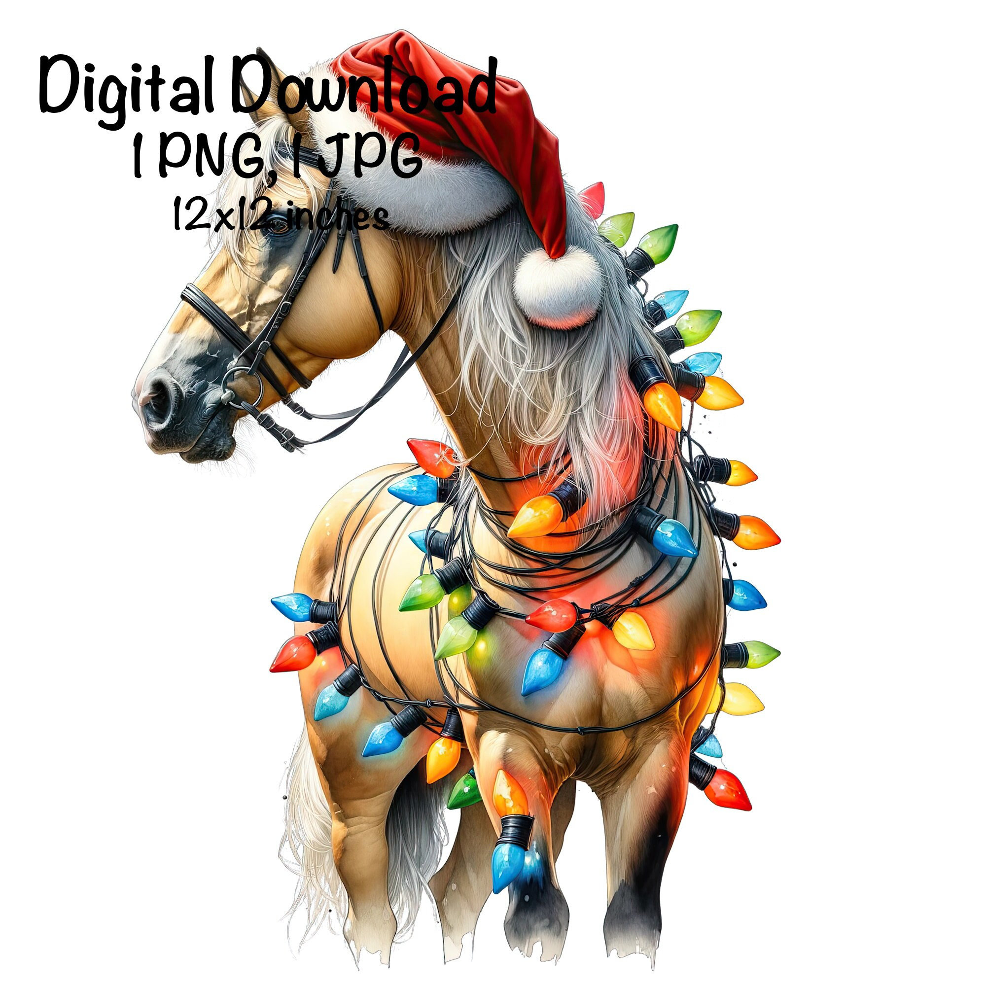 Funny Christmas Horse PNG, Cowgirl Png, Santa Horse Santa Hat PNG ...