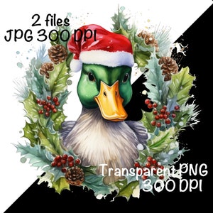 Pu&ograve; includere: Un'illustrazione ad acquerello di un'anatra che indossa un cappello rosso di Babbo Natale, circondata da una ghirlanda di agrifoglio verde con bacche rosse e pigne. L'anatra ha piume verdi e un becco giallo. Lo sfondo &egrave; bianco.