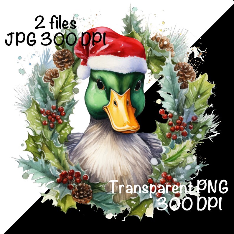 Pu&ograve; includere: Un'illustrazione ad acquerello di un'anatra che indossa un cappello rosso di Babbo Natale, circondata da una ghirlanda di agrifoglio verde con bacche rosse e pigne. L'anatra ha piume verdi e un becco giallo. Lo sfondo &egrave; bianco.