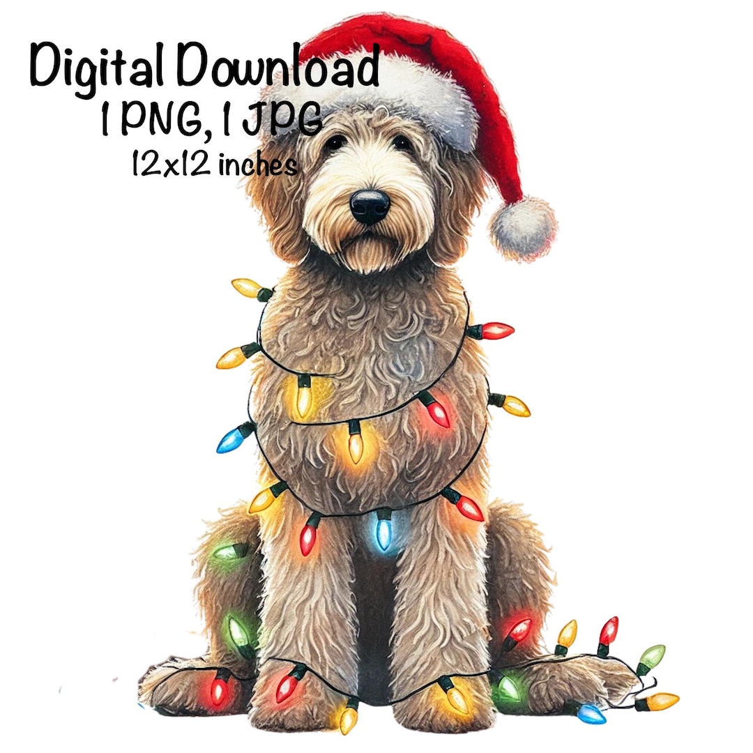 透明な背景にゴールデンドゥードルの子犬イラスト素材透過、PNGフリー画像ダウンロード - Pngtree, image size:1080x1080