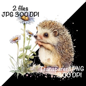 May include: A watercolor illustration of a brown and white hedgehog sniffing a purple and white flower. The hedgehog is standing on a green patch of grass with other flowers. The background is white with a black and white splatter effect.