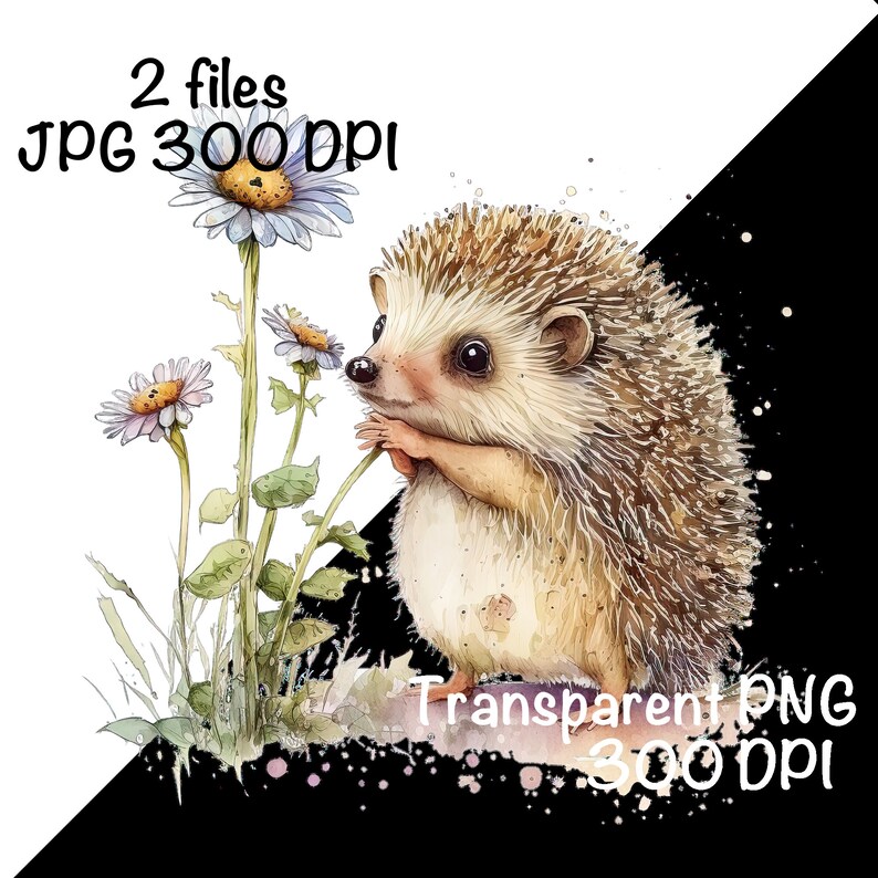 May include: A watercolor illustration of a brown and white hedgehog sniffing a purple and white flower. The hedgehog is standing on a green patch of grass with other flowers. The background is white with a black and white splatter effect.
