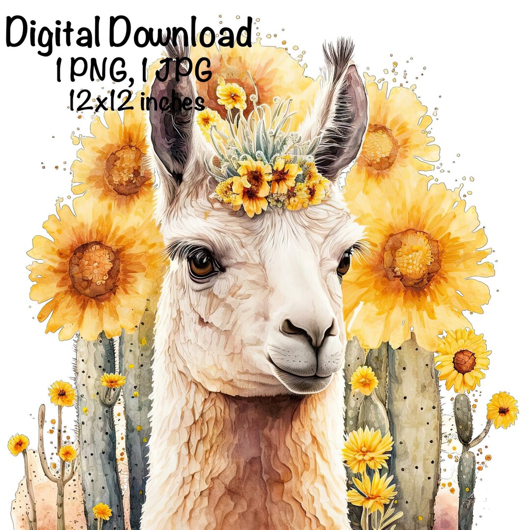 Llama Watercolor Clipart Farm Llama Sunflowers Cactus Flowers PNG