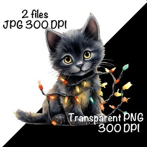 May include: A black kitten with yellow eyes is tangled in a string of colourful Christmas lights. The kitten is sitting on a white background.