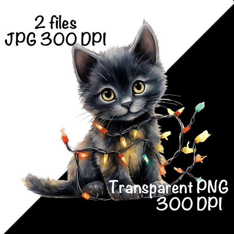 May include: A black kitten with yellow eyes is tangled in a string of colourful Christmas lights. The kitten is sitting on a white background.
