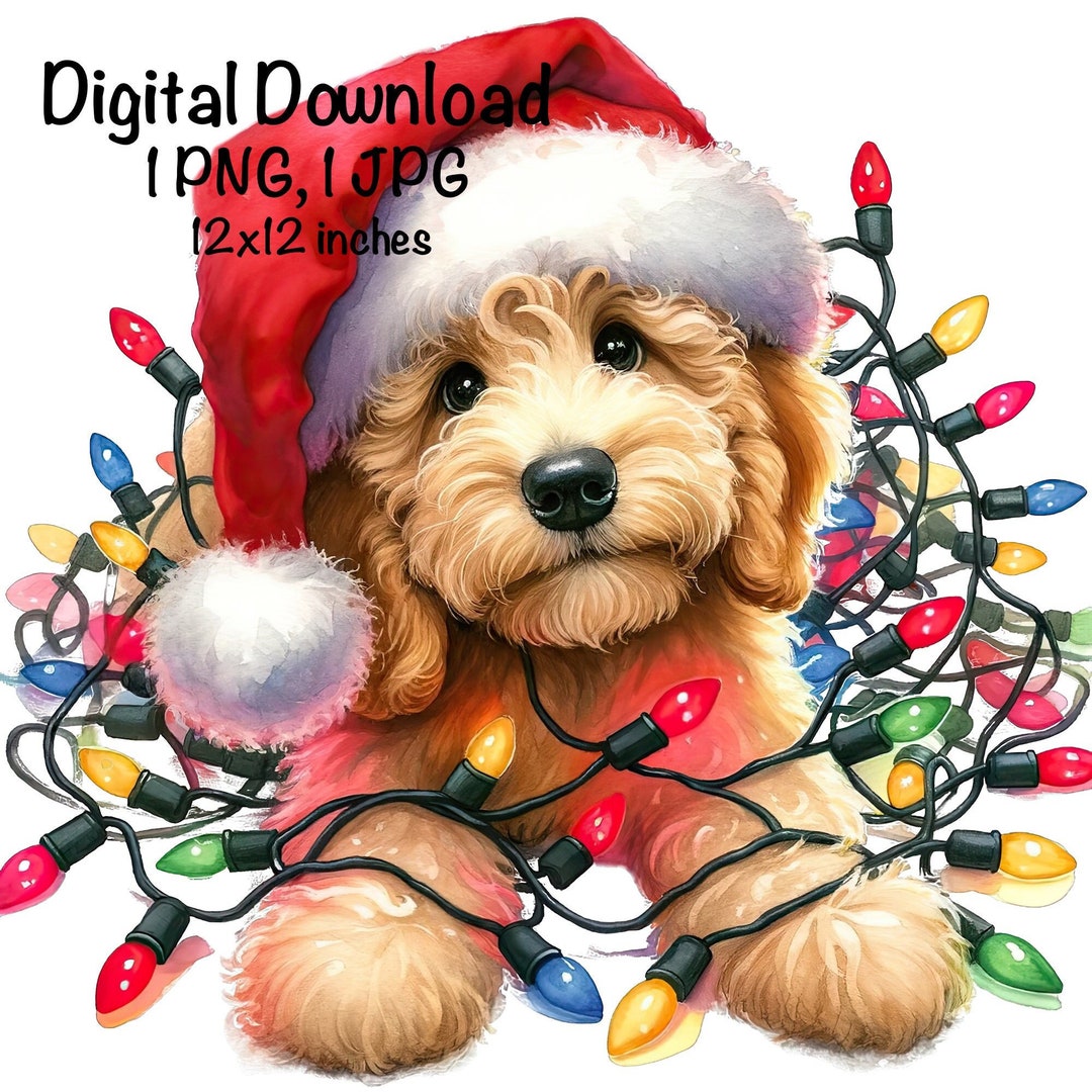 Christmas Goldendoodle Puppy PNG Christmas Lights Santa Doodle Dog