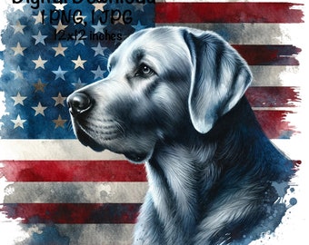 Silver Lab Flag PNG | Patriotic USA Labrador Flag Sublimation | American Dog PNG| 4th of July Hunting Dog Sublimation| Fourth of July Dog