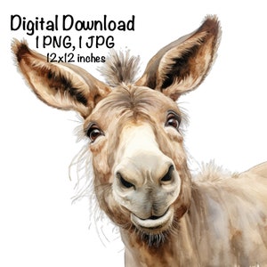 May include: A watercolor painting of a donkey's head and neck. The donkey is looking directly at the viewer with a curious expression. The donkey's fur is brown and white, and its ears are long and floppy.