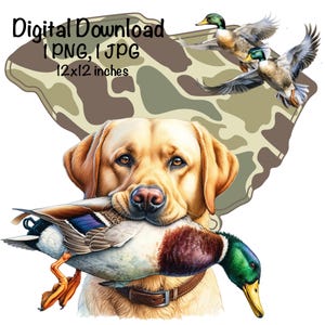 Camo South Carolina Duck Jagdhund PNG Gelber Labrador Retriever Hund SC Map Jagd Sublimation Stockente Ente PNG Camo Patch Entenjäger