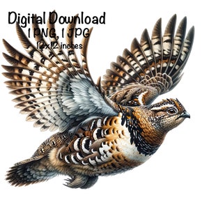 Ruffed Grouse Bird Sublimation PNG, Ruffed Grouse Flying PNG, Commercial Use, Bird Hunting PNG, Ruffed Grouse Birds Bonasa Umbellus png