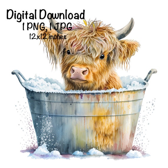 Highland Cow Watercolor Clipart Cute Highland Cow in a Bucket Baby Cow PNG Commercial Use Scottish Cow Graphic Design Illustration Print