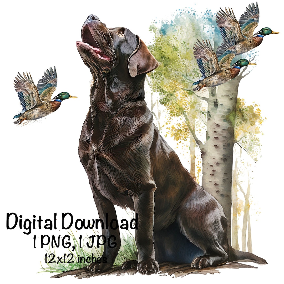 Labrador Dog Watercolor Clipart Black Labrador Dog PNG Commercial Use ...
