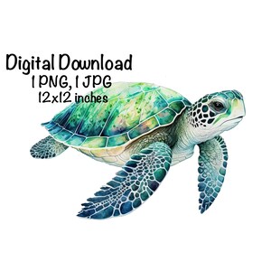 Sea Turtle, Sea Turtle Watercolor Clipart, Ocean Animals Sea Turtle PNG, Sea Turtle Swimming Water Sublimation Turtle Printable Sea Turtle
