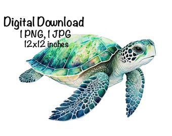 Tortuga marina, clipart de acuarela de tortuga marina, animales del océano, tortuga marina PNG, tortuga marina nadando en el agua, sublimación de tortuga, tortuga marina imprimible