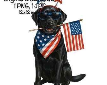May include: A black Labrador Retriever wearing a red, white and blue bandana and a star-shaped headband. The dog is holding a small American flag in its mouth.