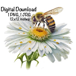 Honey Bee Daisy Flower Watercolor Clipart Bee Flowers Commercial Use Honeybee Graphic Design Watercolor Bee Clipart Illustration Print