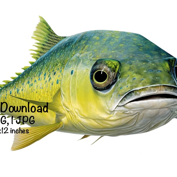 Mahi Mahi Fish Sublimation Saltwater Fish Clipart Mahi Mahi Swimming PNG Commercial Use Illustration Dolphinfish Fishing Fish Print Mahi PNG