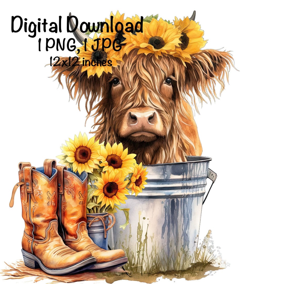 Highland Cow PNG Cute Highland Longhaired Cow Clipart Cow Metal Bucket ...