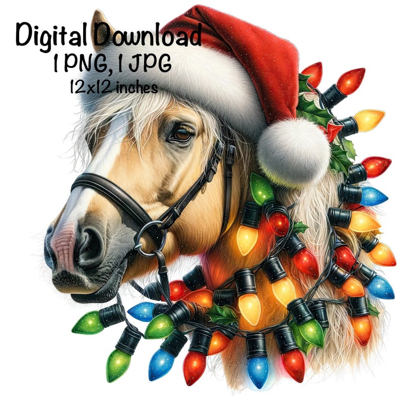 Funny Christmas Horse PNG, Cowgirl Png, Santa Horse Santa Hat PNG ...