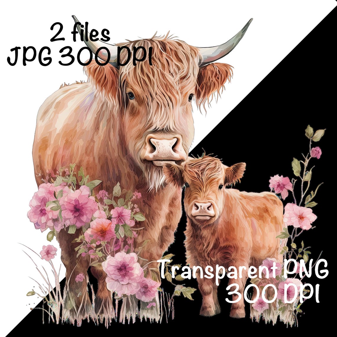 Highland Cow & Calf Watercolor Clipart Highland Cow Flowers - Etsy
