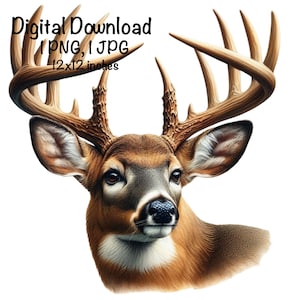 Deer Watercolor Clipart, Whitetail Deer PNG, Commercial Use Deer Hunting PNG, Deer Hunter Sublimation, Buck Forest Animals Digital Download