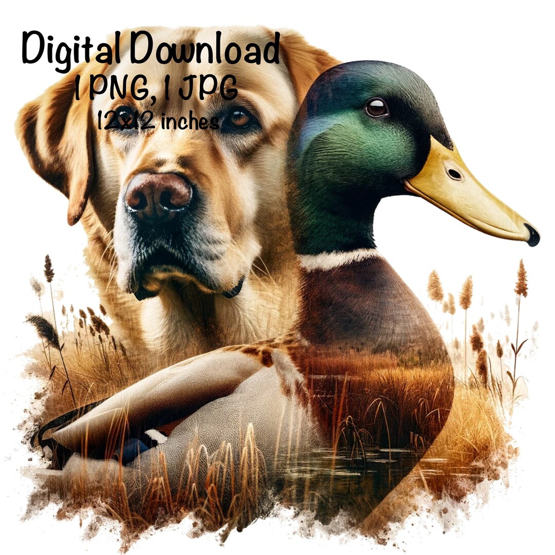 Labrador Dog Sublimation PNG Yellow Labrador Dog PNG Commercial Use ...