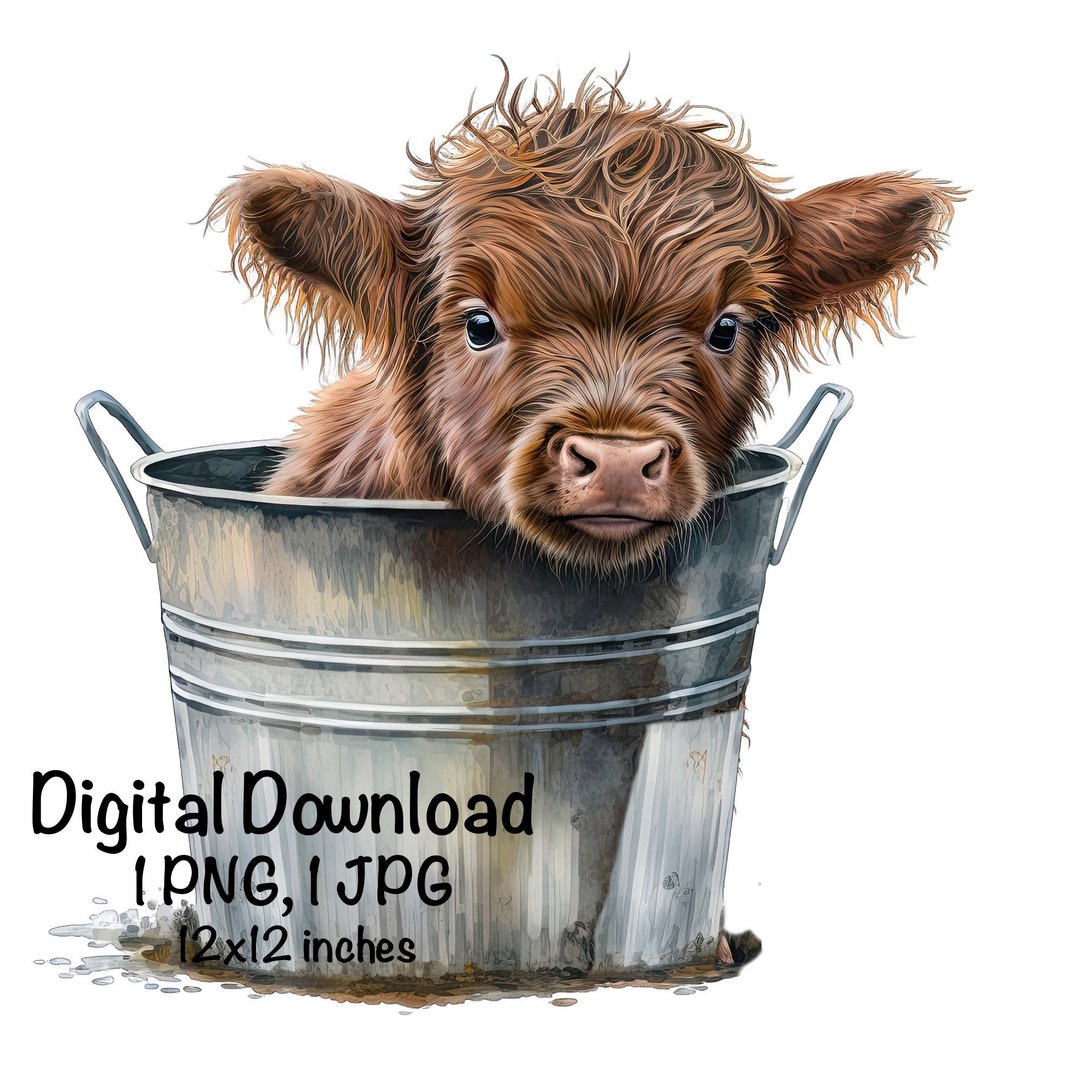 Highland Cow Watercolor Clipart Cute Highland Cow in a Bucket Baby Cow ...