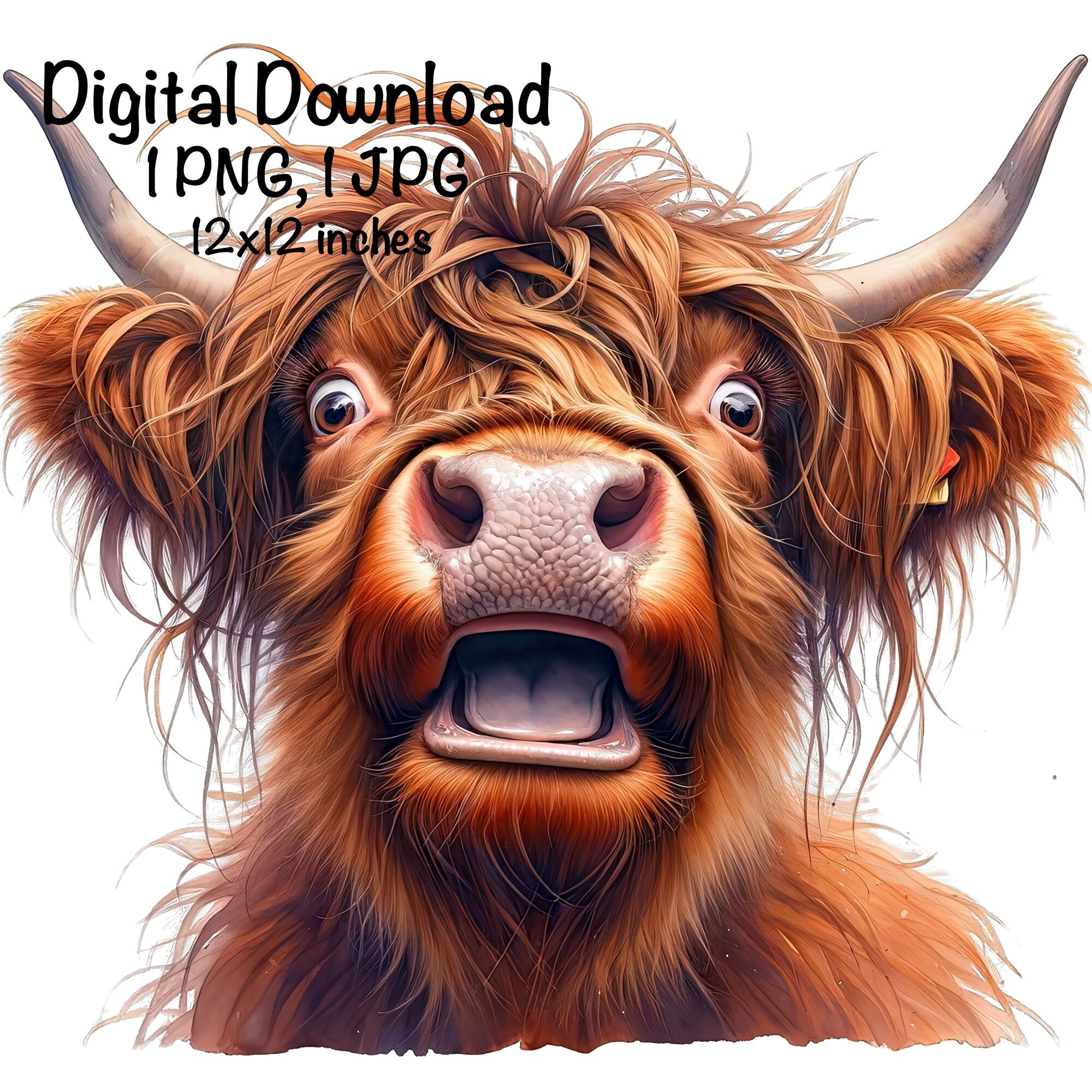 Highland Cow Watercolor Clipart Cute Highland Cow Funny Baby Cow PNG ...