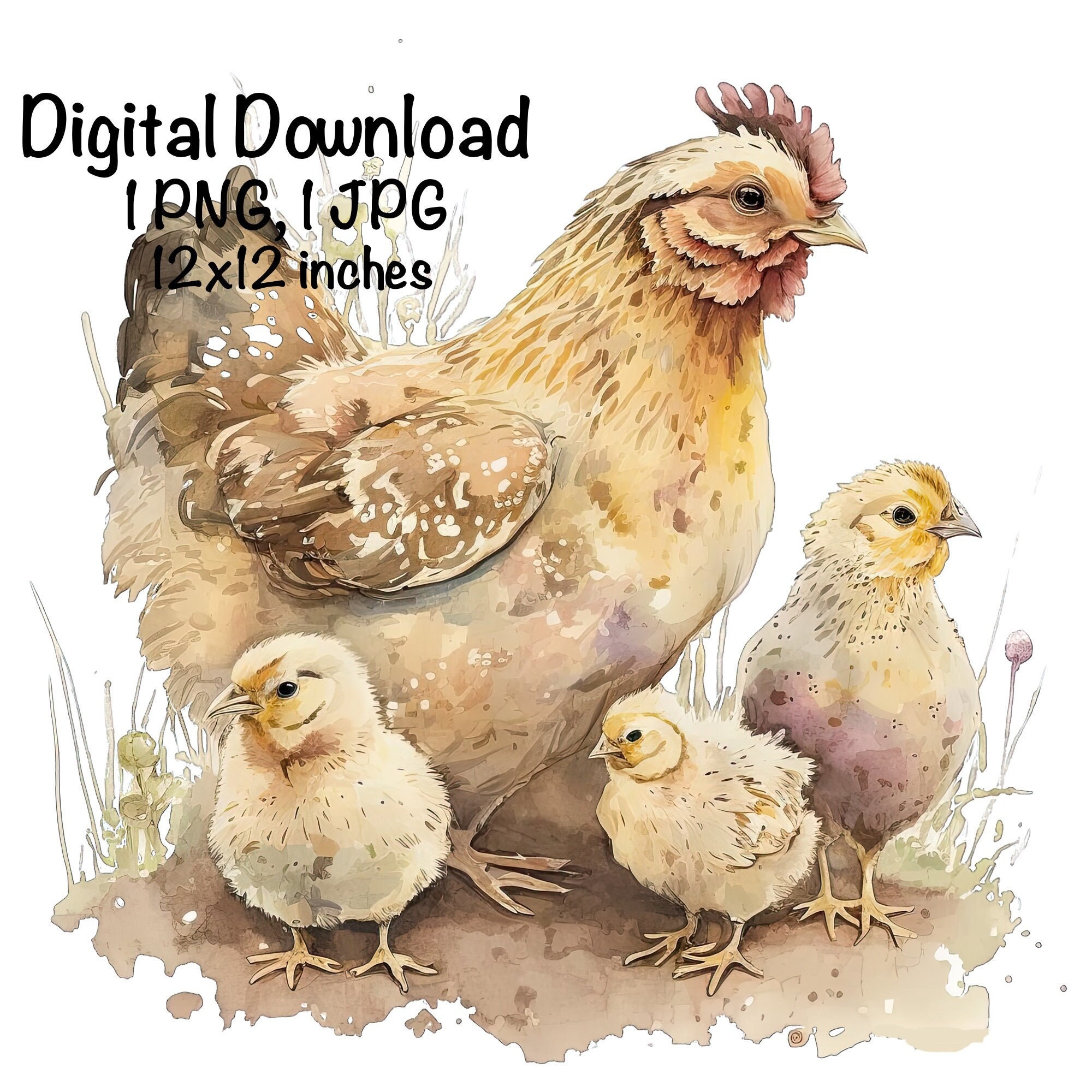 Farm Chicken & Chicks Watercolor Farm Hen Boys Girls Clipart Wall Art ...