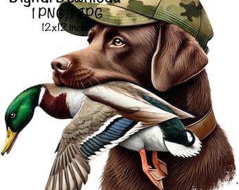 Duck Hunting Dog png, Duck hunting sublimation, Labrador Retriever Bird In Mouth Hunting PNG, Design Camo Hunting Sublimation, Duck Hunter