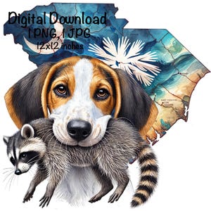 South Carolina Waschbär Jagdhund PNG | Jagd Walker Coonhound Hundekarte | Jagd Sublimation Waschbär Jäger Sublimation | Jagd-Shirt PNG