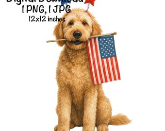 4 juli Goldendoodle, png PNGEgg | 4 juli Goldendoodle Dog-sublimatie, png PNGEgg | Gouden krabbelhond | America Goldendoodle, png-bestand | Patriottische hond, png