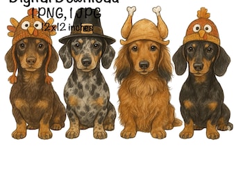 Psy jamnika na Święto Dziękczynienia w rzędzie PNG, Drużyna Gobble PNG, Zabawny pies na Święto Dziękczynienia, Zabawny kapelusz z pieczonego indyka, Sublimacja kapelusza z indyka