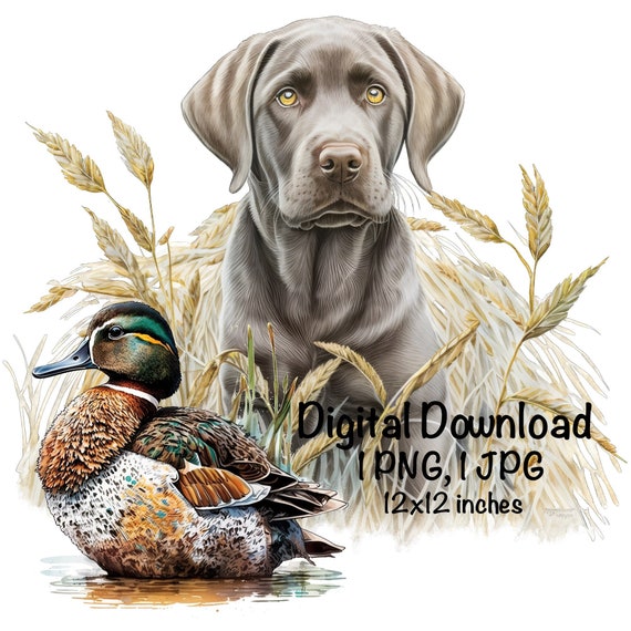 Silver Labrador Dog PNG Clipart Hunting Dog PNG Commercial Use Duck Hunting PNG Labrador Retriever Dog Sublimation Lab Dog Digital Download