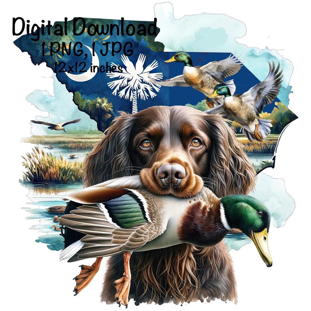 South Carolina Duck Hunting Dog PNG Boykin Spaniel Dog SC Map Hunting