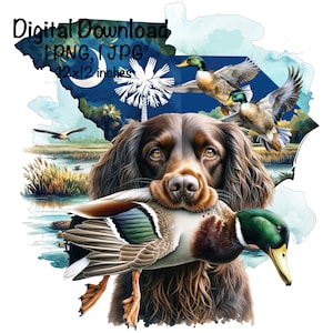 Chien de chasse au canard de Caroline du Sud PNG Boykin Spaniel Dog SC Carte Chasse Sublimation Canard colvert Sublimation Usage commercial Duck Hunter png thumbnail