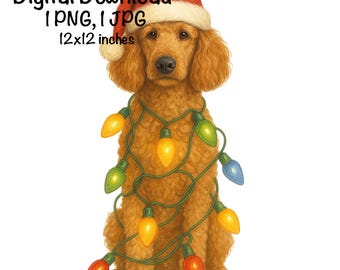 May include: A golden doodle wearing a Santa hat and wrapped in Christmas lights. The dog is sitting and looking forward. The image includes the text "Digital Download 1 PNG, 1 JPG 12x12 inches".