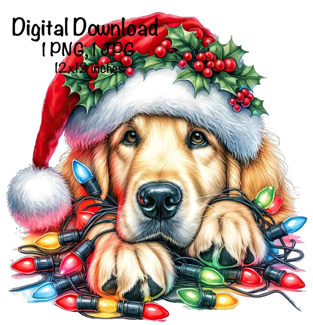 Christmas Golden Retriever Dog PNG Christmas Lights Santa Retriever ...
