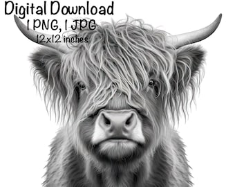 Highland Cow Photo Clipart Highland Cow Black and White Photo PNG Commercial Use Scottish Retro Photo Cow Graphic Design Photography Print