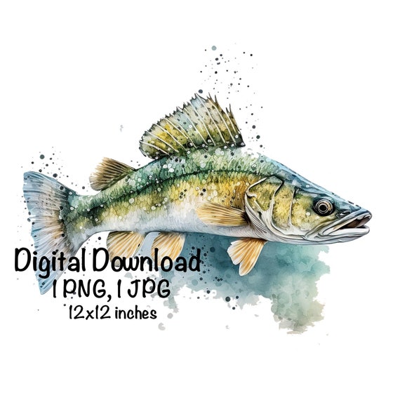 Walleye Fish Watercolor Freshwater Fish Clipart Yellow Pike Fish Swimming  PNG Commercial Use Illustration Yellow Pickerel Fishing Print PNG 