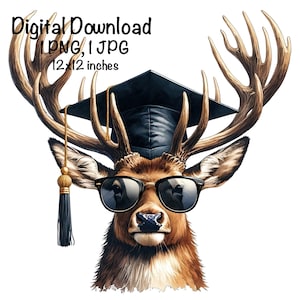 May include: A brown deer with large antlers wearing a black graduation cap and sunglasses. The deer is looking directly at the viewer. The image is 12x12 inches.