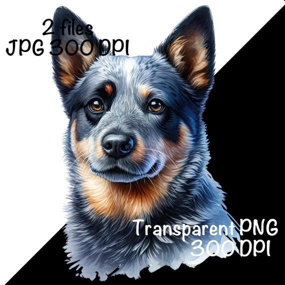 Australian Cattle Dog Sublimation PNG, Cute Blue Heeler Dog