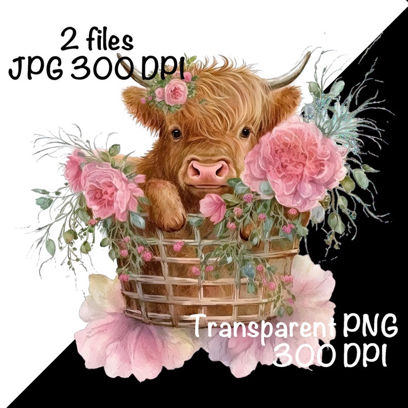 Highland Cow Watercolor Clipart Cute Highland Cow in a Basket Baby Cow ...