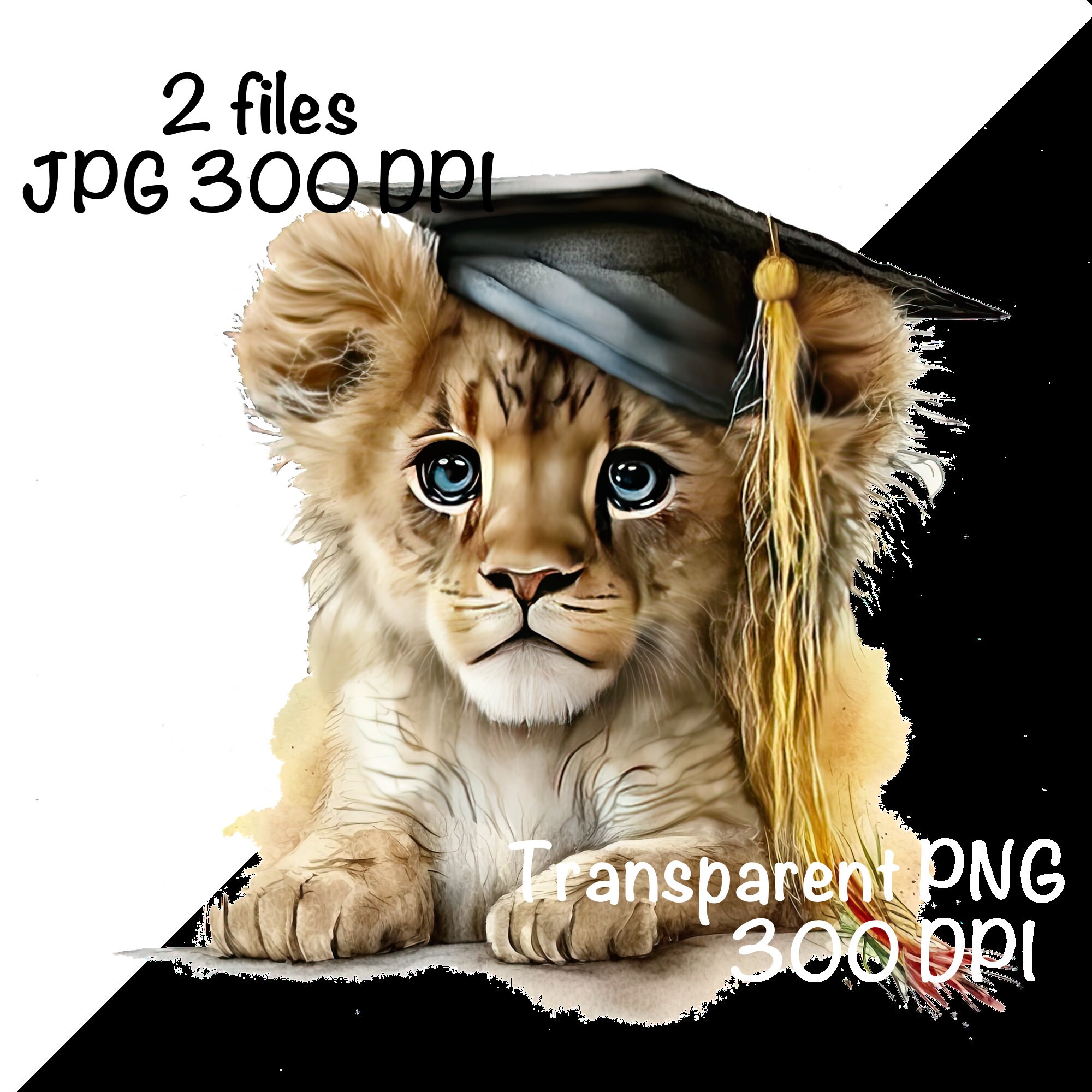il_fullxfull.4659148460_ra6k.jpg