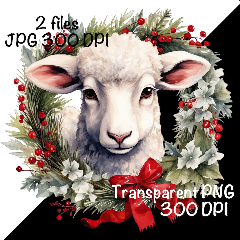 May include: A white lamb with brown eyes peeks out from a Christmas wreath decorated with red berries, green pine branches, and white flowers. The wreath is tied with a red bow.