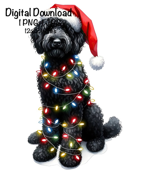Christmas Goldendoodle Puppy PNG Christmas Lights Santa Black Doodle Dog Sublimation Golden Doodle Dog Baby Doodle PNG Puppy Christmas Gifts