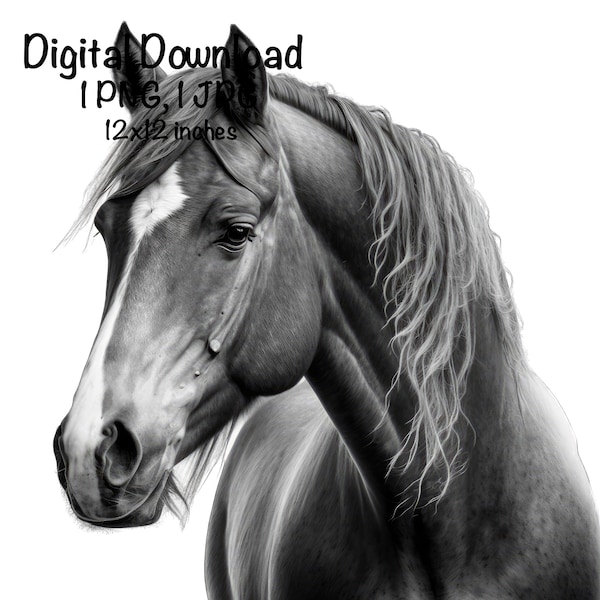 Horse Photo PNG Clipart Farm Ranch Animals png Horse Black and White Photo Commercial Use Horse Sublimation PNG Retro Portrait Photography