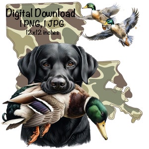 Camo Louisiana Duck Jagdhund PNG Schwarzer Labrador Retriever Hund LA Map Jagd Sublimation Stockente Ente Sublimation Camo Patch Entenjäger