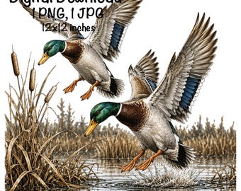 May include: Digital download image of two mallard ducks in flight over water. The ducks have green heads, brown bodies, and blue and white wing accents. The image includes cattails and the text "Digital Download 1 PNG, 1 JPG 12x12 inches."